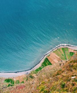 Non enim, si omnia non sequebatur, idcirco non erat ortus illinc.