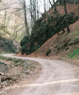 Summum ením bonum exposuit vacuitatem doloris;