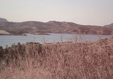 Quae cum praeponunt, ut sit aliqua rerum selectio, naturam videntur sequi;